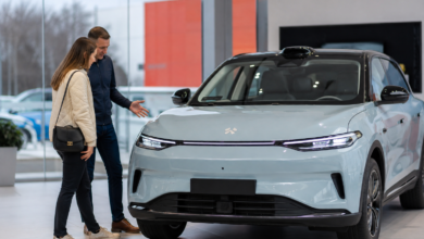 Leapmotor UK EV Market Share
