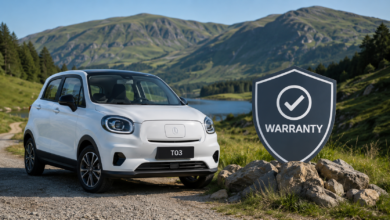 Leapmotor T03 Warranty