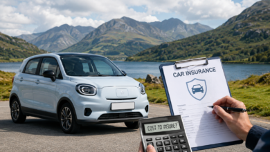 Leapmotor T03 Insurance